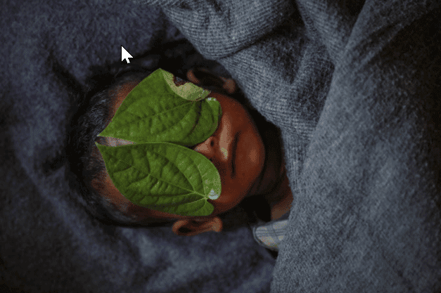 Betel leaves cover the face of 11-month-old Rohingya refugee Abdul Aziz whose wrapped body lay in his family shelter after he died battling high fever and cough at the Balukhali refugee camp near Cox's Bazar, Bangladesh (Part of Reuters series that won Pulitzer for feature photography)