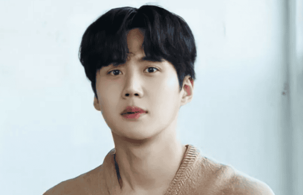 Why is Kim Seon Ho Removed from Upcoming Films and Show?