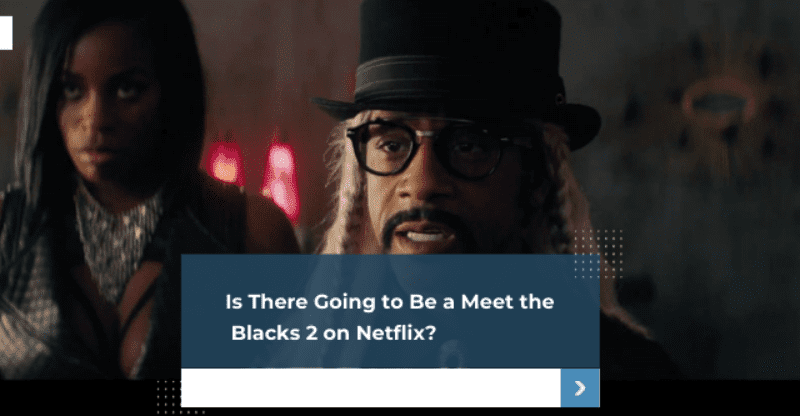 Is There Going to Be a Meet the Blacks 2 on Netflix?