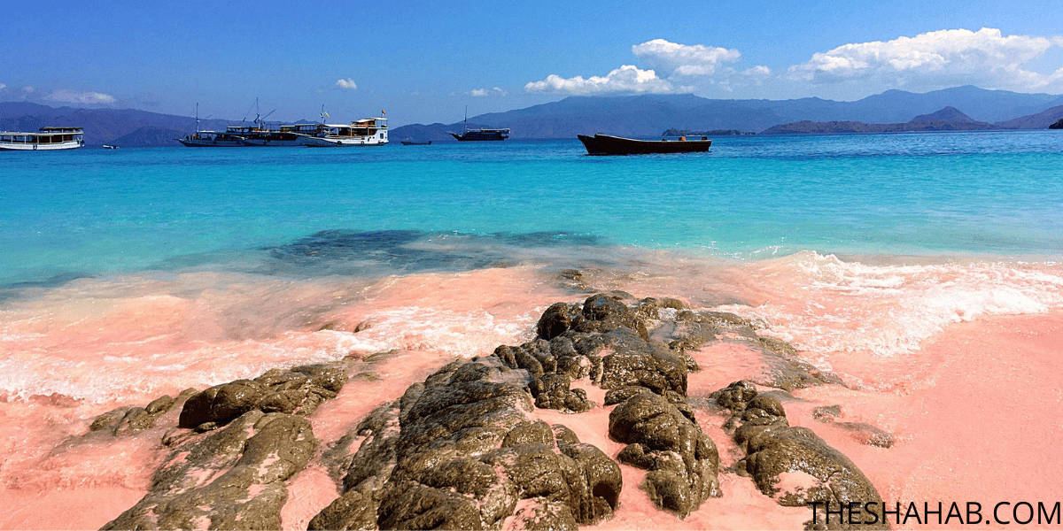 The Prettiest Caribbean Pink Sand Beaches