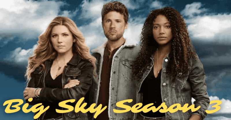 Big Sky Season 3 Release Date: What Is New for Die-hard Fans?