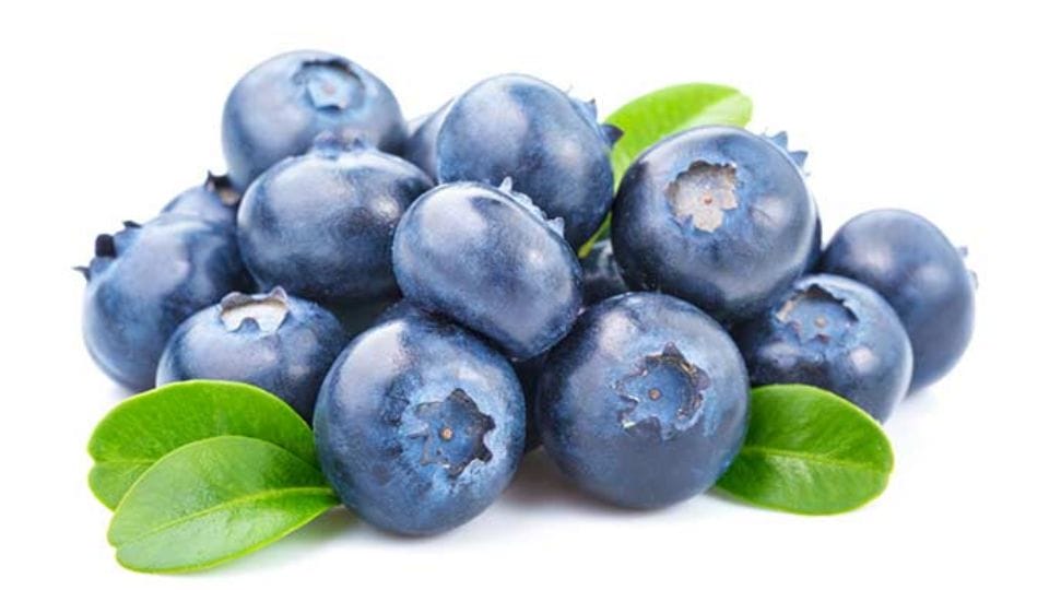 When Are Blueberries in Season