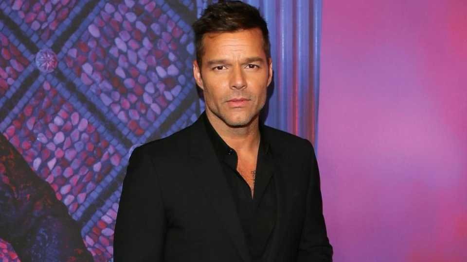 Ricky Martin Divorce