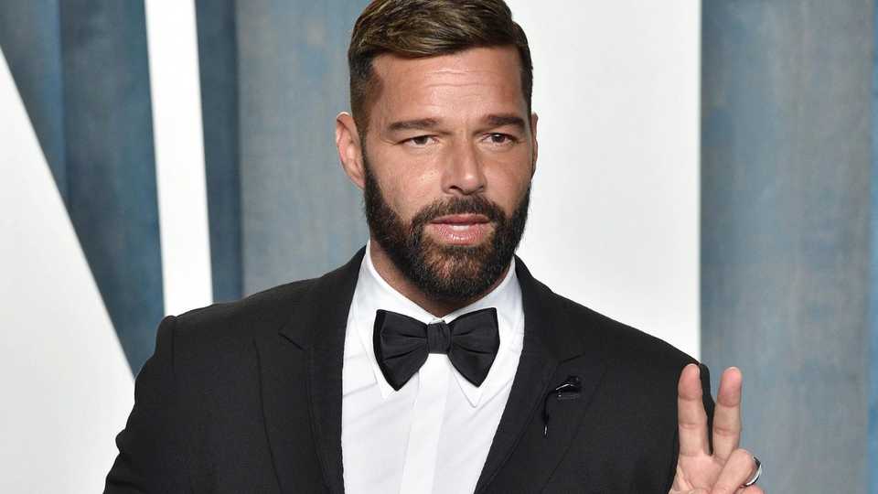 Ricky Martin Divorce