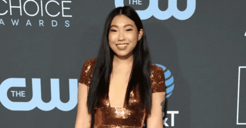 Awkwafina Net Worth: Early Life, Education, Career, And More!