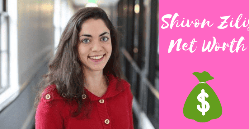 Shivon Zilis Net Worth: What Is The Net Worth of Shivon Zilis At This Time?