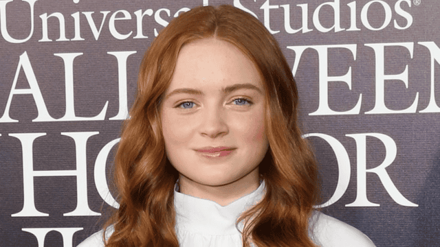 Are Sadie Sink and Finn Wolfhard Dating