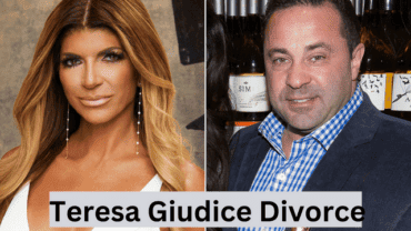 What Was the Reason Behind Teresa Giudice Divorce?