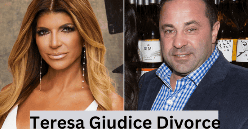 What Was the Reason Behind Teresa Giudice Divorce?