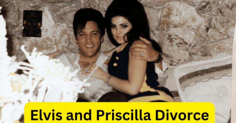 Elvis and Priscilla Presley’s 8-year Marriage Resulted in a Divorce!