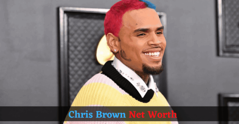 Chris Brown Net Worth: What is Chris Annual Income and Total Wealth?