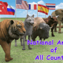 Here is the List of National Animals of the Top 7 Countries in Brief!