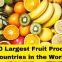 Here is the List of Top 10 Largest Fruit Producing Countries in the World