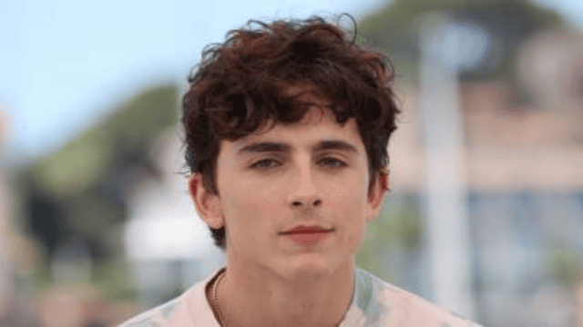 Who is Timothee Chalamet?