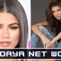 A Look at How Much Zendaya Net Worth in 2022?