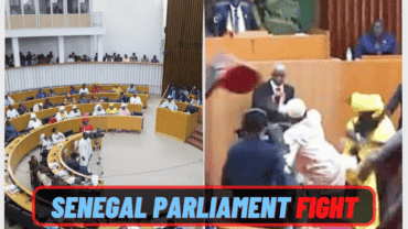 Senegal’s Parliament Fights After a Politician Hits a Female MP!