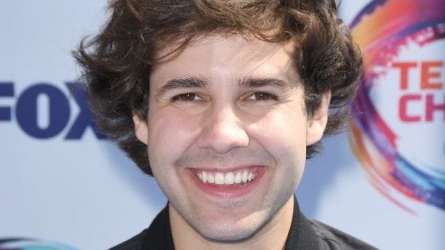 Is David Dobrik Gay?