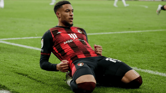 Arnaut Danjuma’s Girlfriend. What is the Net Worth of Arnaut Danjuma