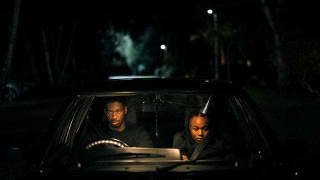 the strays netflix review