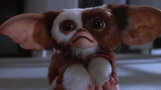 Gremlins 3 Release Date