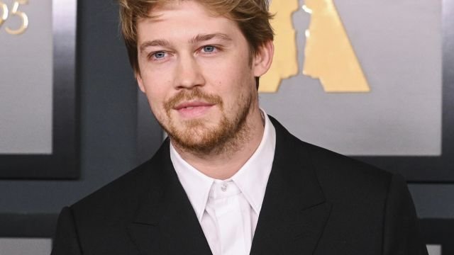 Is Joe Alwyn Gay?