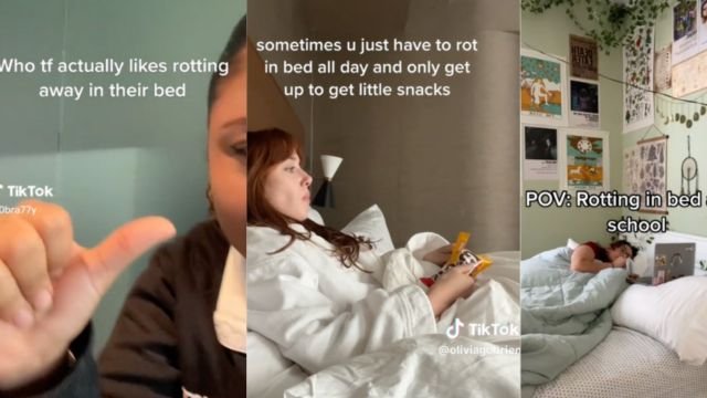 what is bed rotting trend?