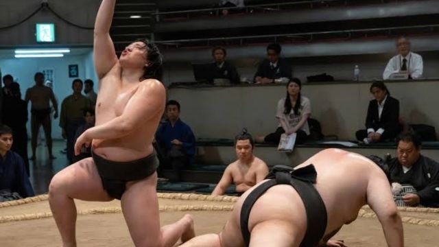 Sanctuary Season 2 Release Date