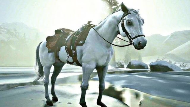 Red Dead Redemption 2 Fastest Horse