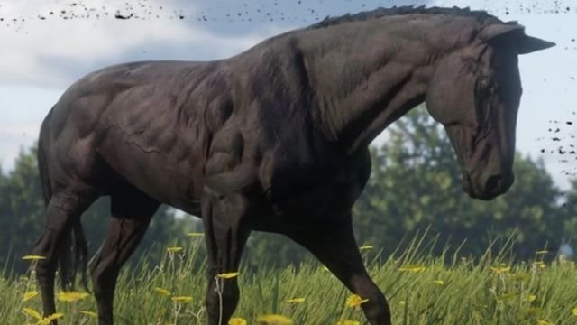 Red Dead Redemption 2: Don’t Waste Your Money on These 5 Things