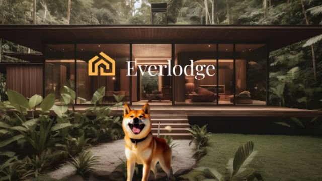 Dogecoin vs Everlodge