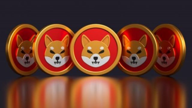 Top 5 Cheapest Cryptocurrencies to Buy