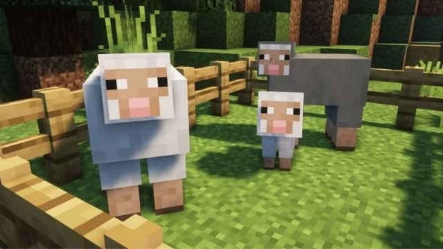 Top 10 real-world animals in Minecraft