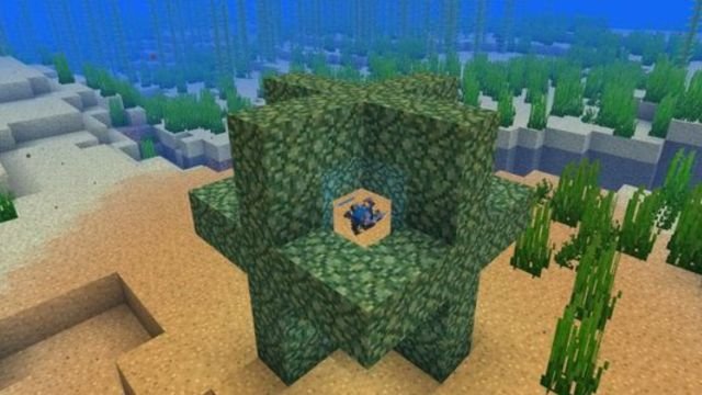 How to Get and Use Heart of the Sea in Minecraft