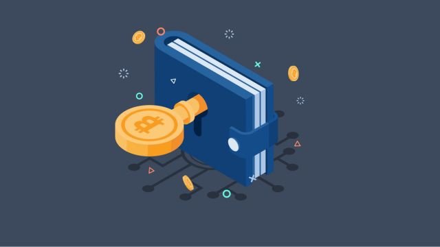 what are hot and cold crypto wallets?