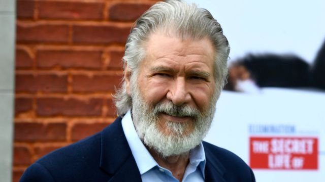 Is Harrison Ford Getting a Divorce?