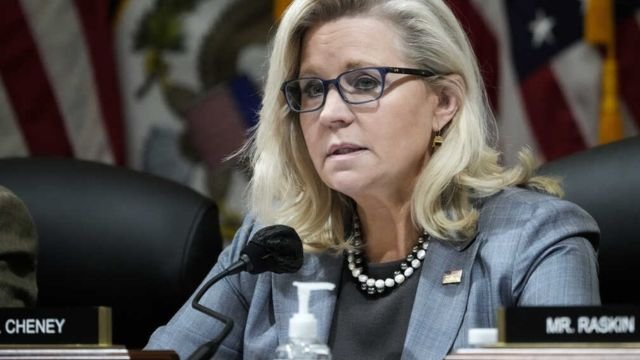 Is Liz Cheney Gay?