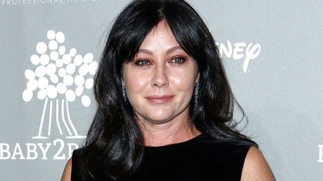 Shannen Doherty Divorce