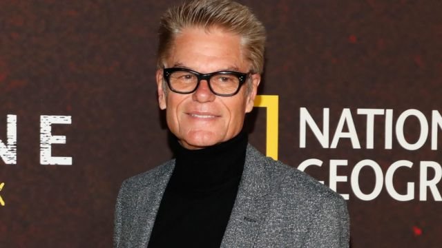 Is Harry Hamlin Gay?