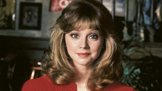 What Happened To Shelley Long?