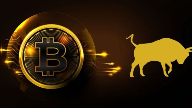 We have reviewed over 500 coins; here are our top 3 picks for the 2024 bull run