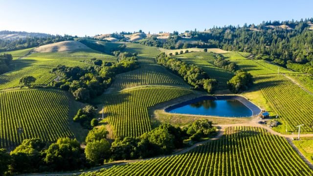 Napa Valley, California