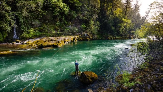 North Umpqua River, Oregon