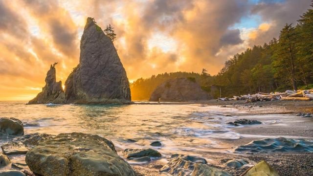 Olympic National Park, Washington