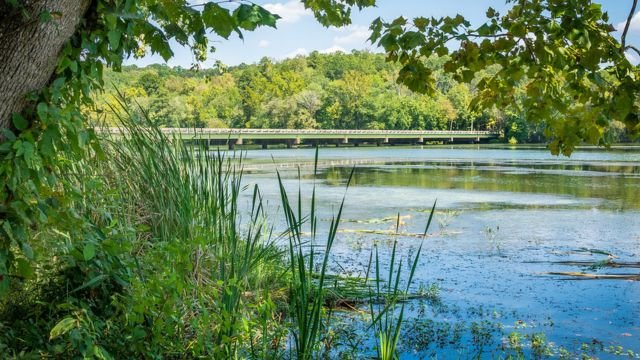 Where Was Fried Green Tomatoes Filmed?
