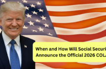 New U.S. Driving License Rules 2025 | REAL ID & Renewal Changes